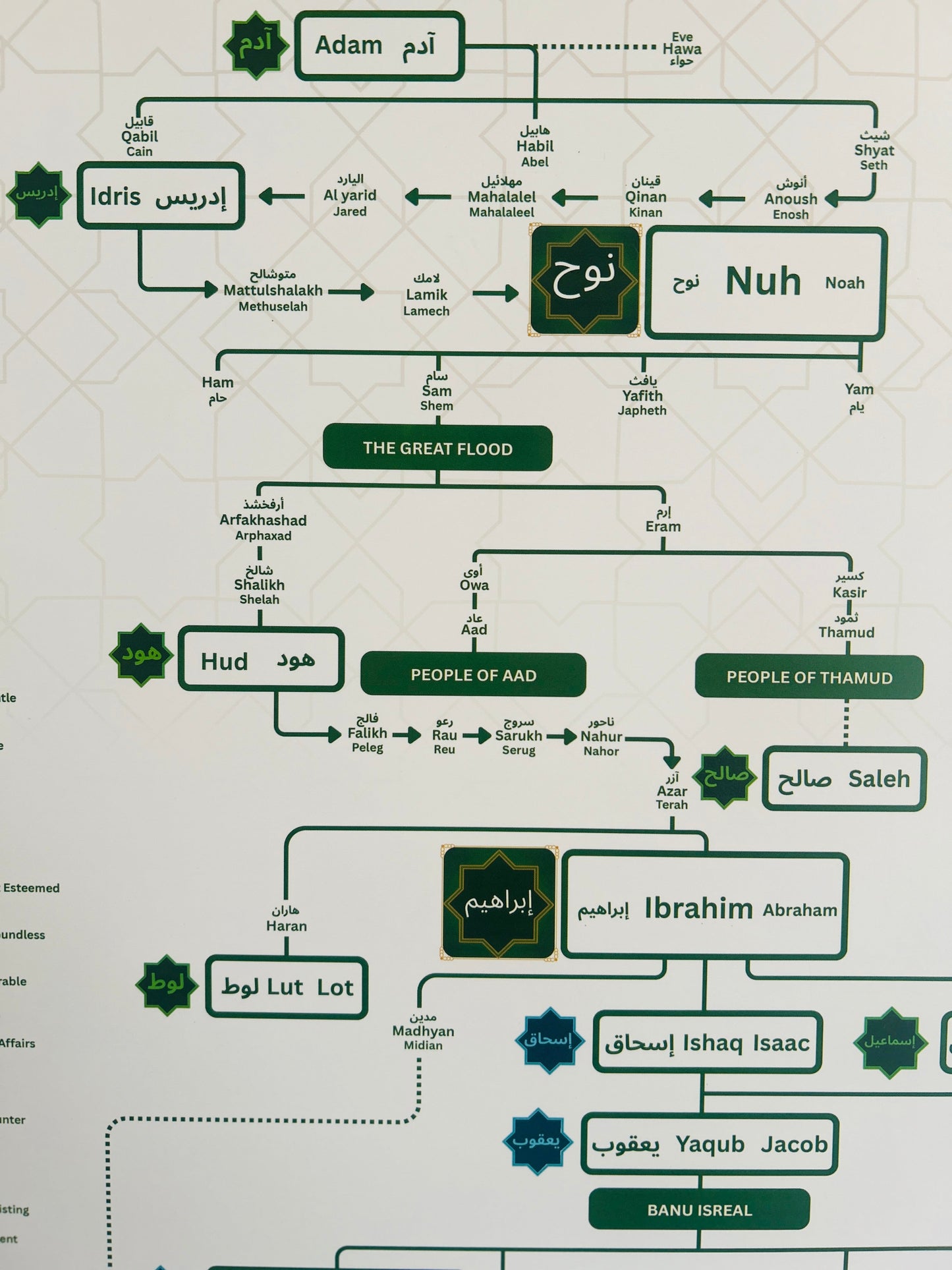 Prophet (PBUH) Family Tree (With Frame)